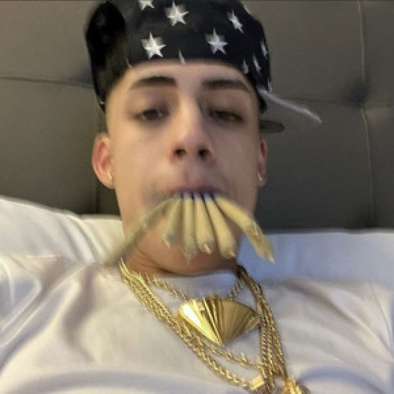 toneloxuleriaenpote
